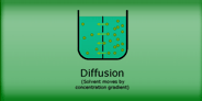 Diffusion & Osmosis